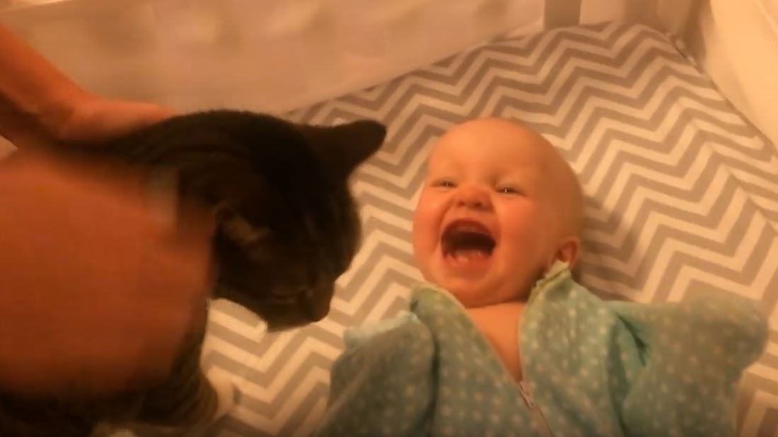 Happy baby with cat