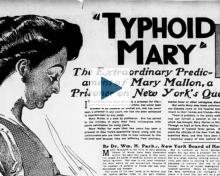 News clipping about typhoid Mary Mallon