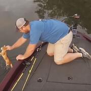 Man saving cat from river