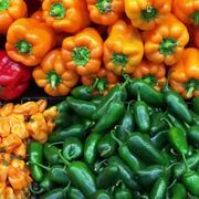 Selection of different peppers
