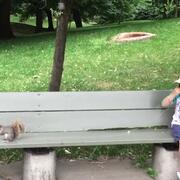 Girl and squirrel on a bench