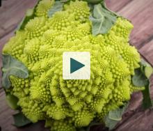 Romanesco Broccoli