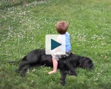 Kid sitting on a dog