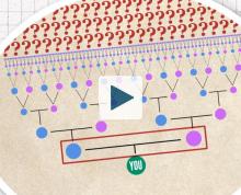 Illustration of a family tree