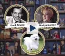Frank Sinatra, Marilyn Monroe and a dog