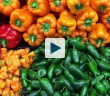 Selection of different peppers