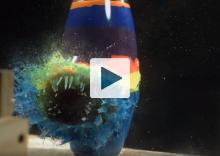 Paint filled vase exploding