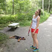 sleeping dog