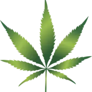 Pot Leaf