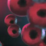 Illustration of cells