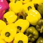 Peppers with altered colors