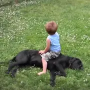 Kid sitting on a dog
