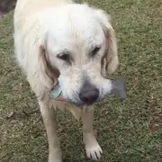Rani and her fish