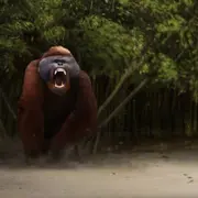 Illustration of Gigantopithecus
