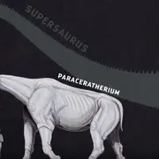 Illustration showing dinosaur size