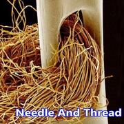 Needle and thread magnified