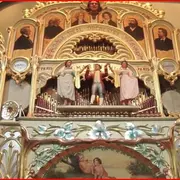 organ