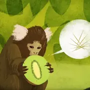 Illustration
