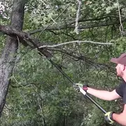 Taras Kul using a pole saw