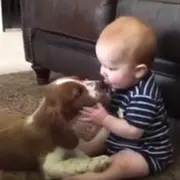 Puppy and Baby