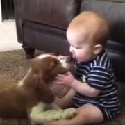 Puppy and Baby