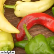 Multiple peppers