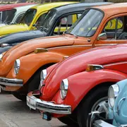 VW Bugs